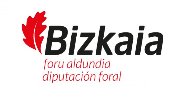 logo-vector-diputacion-de-bizkaia